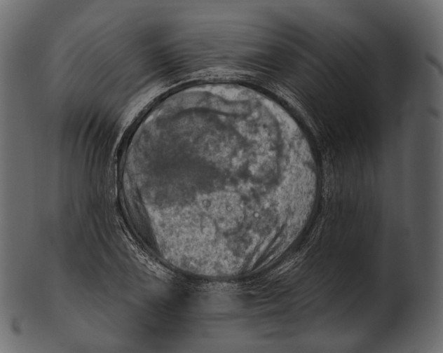 X0000100501075200807031935