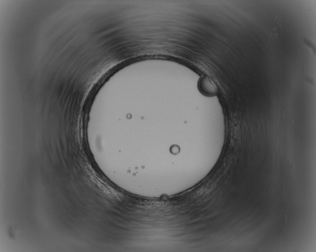 X0000100501076200807031935