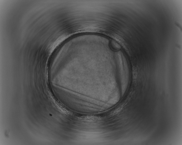 X0000100501077200807031935