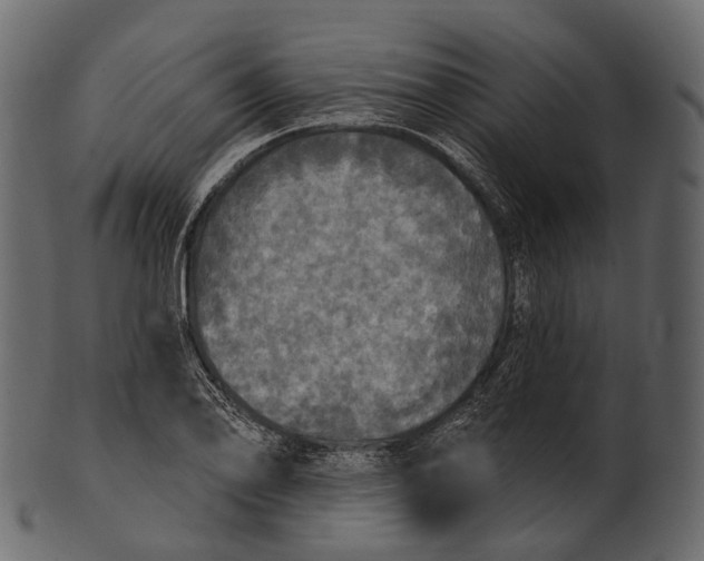 X0000100501078200807031935