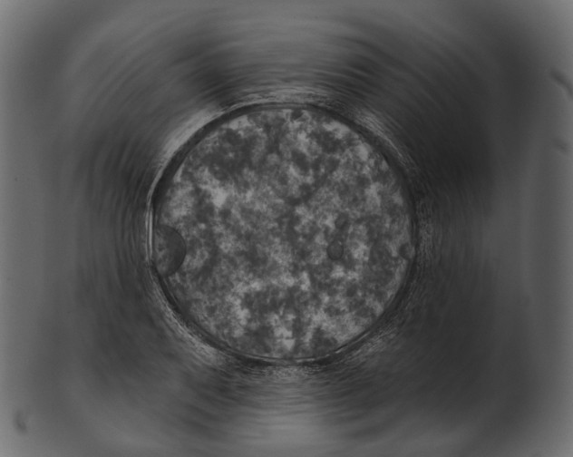 X0000100501079200807031935