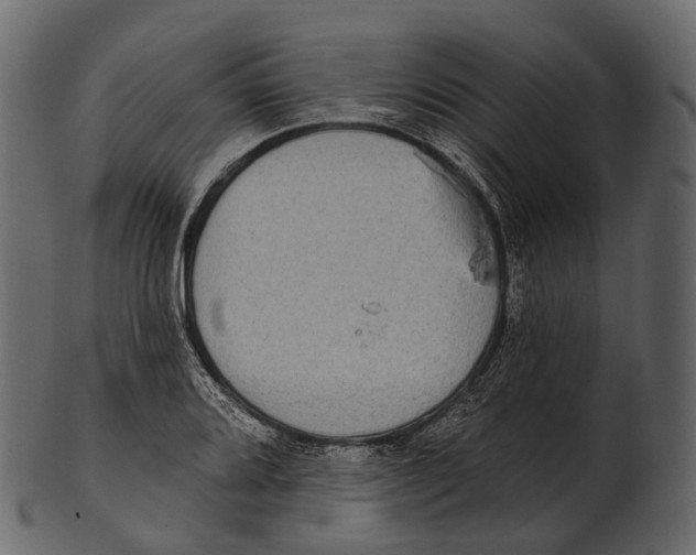 X0000100501080200807031935