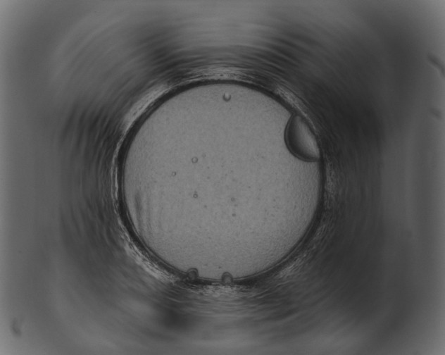 X0000100501082200807031935