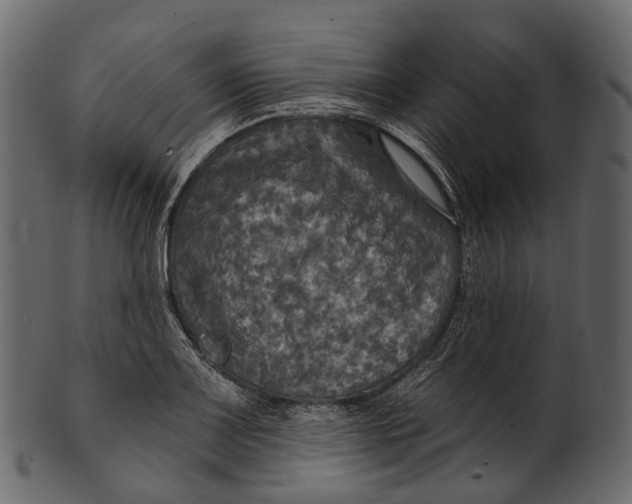 X0000100501083200807031935