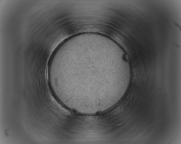 X0000100501084200807031935