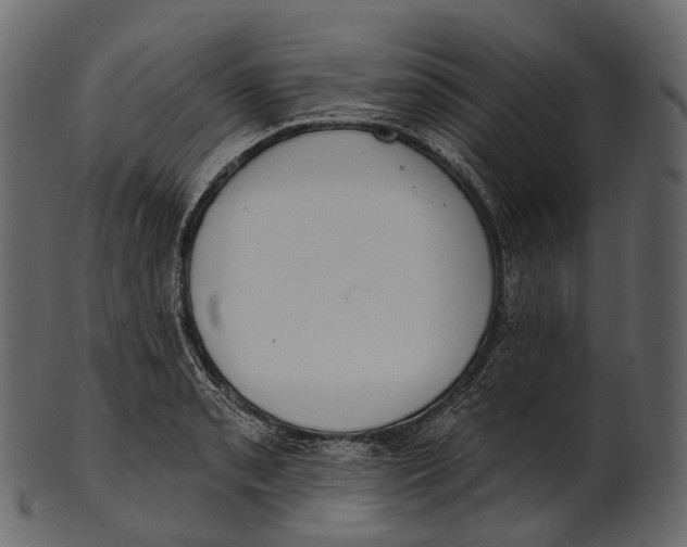 X0000100501085200807031935