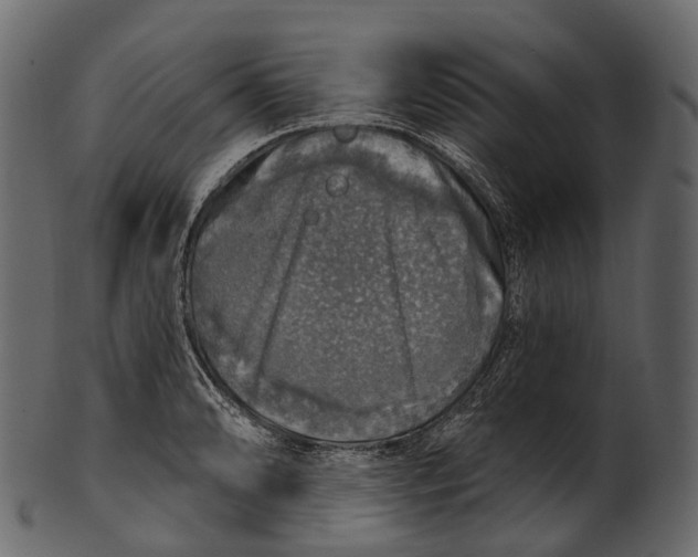 X0000100501086200807031935