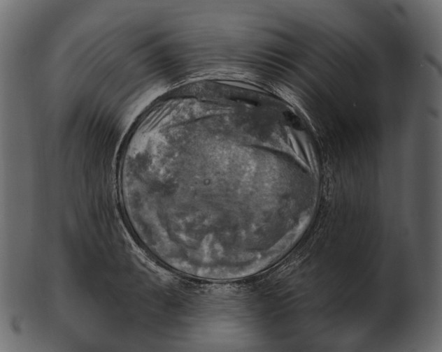 X0000100501087200807031935