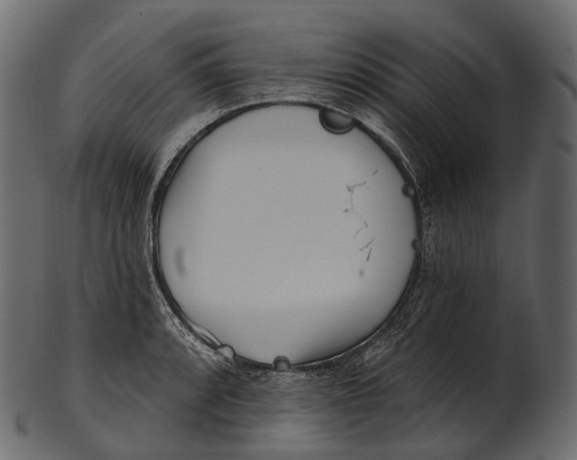 X0000100501088200807031935