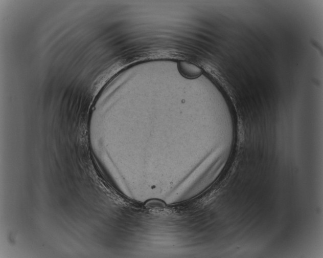 X0000100501089200807031935