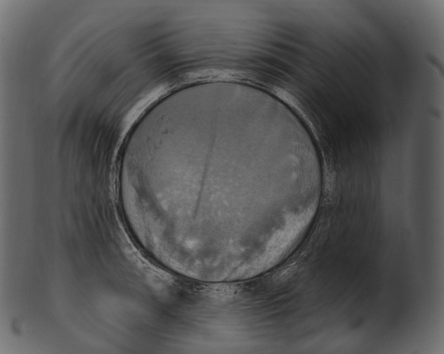 X0000100501090200807031935