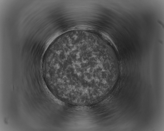 X0000100501091200807031935