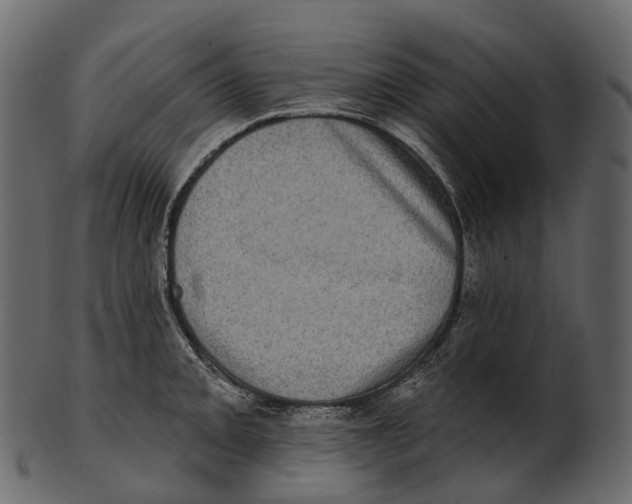 X0000100501093200807031935