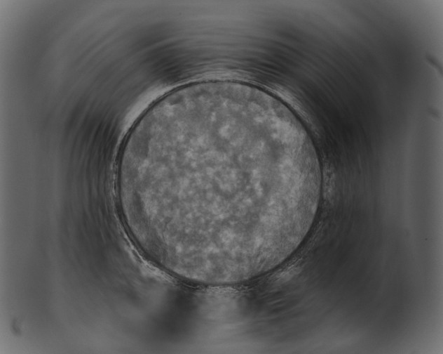 X0000100501094200807031935