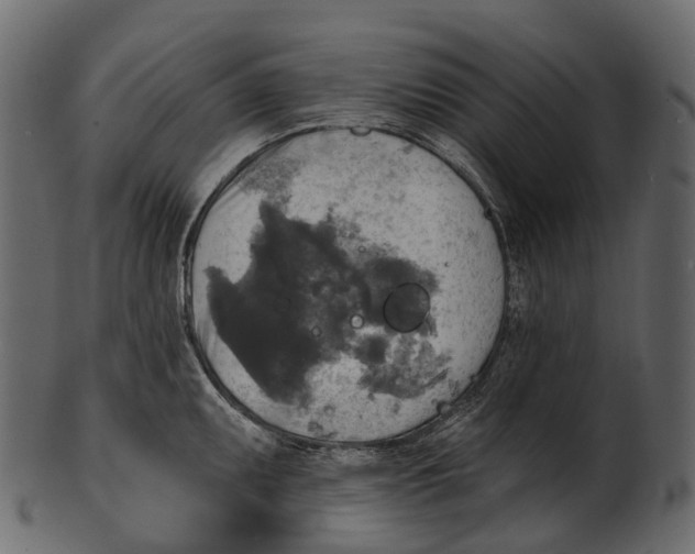 X0000100501095200807031935