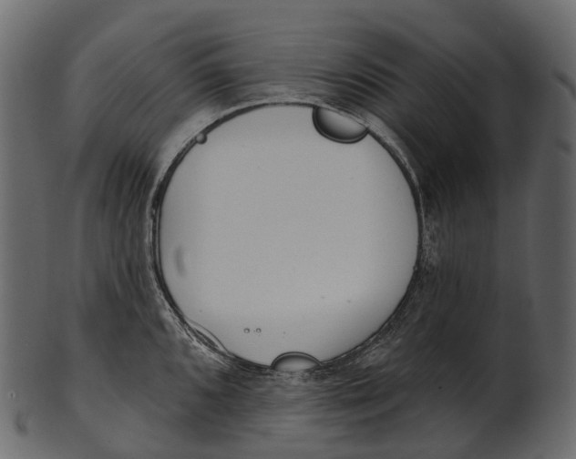 X0000100501096200807031935