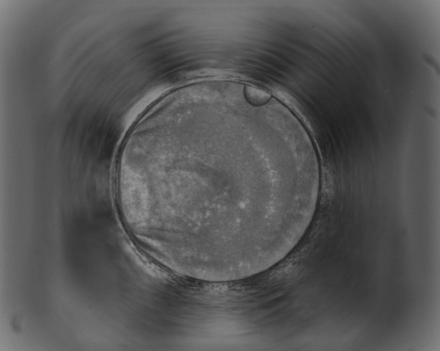 X0000100501098200807031935