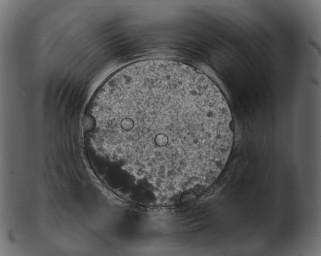 X0000100501099200807031935