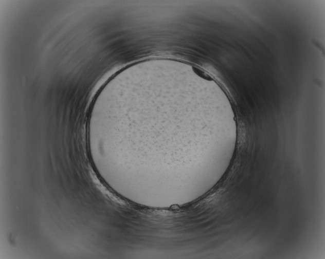 X0000100501100200807031935