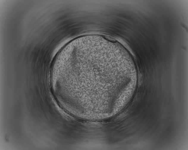 X0000100501101200807031935