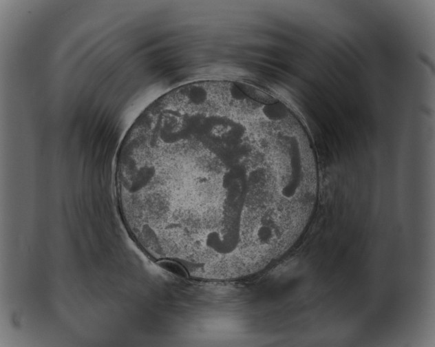 X0000100501103200807031935