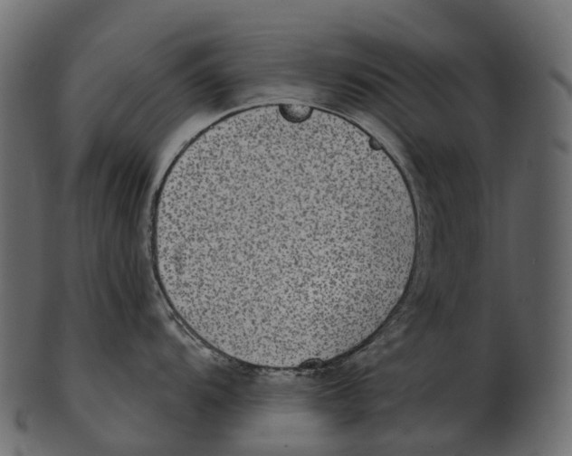 X0000100501104200807031935