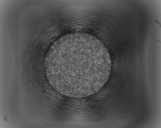 X0000100501105200807031934