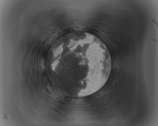 X0000100501106200807031934