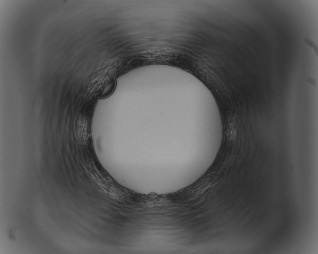 X0000100501108200807031934