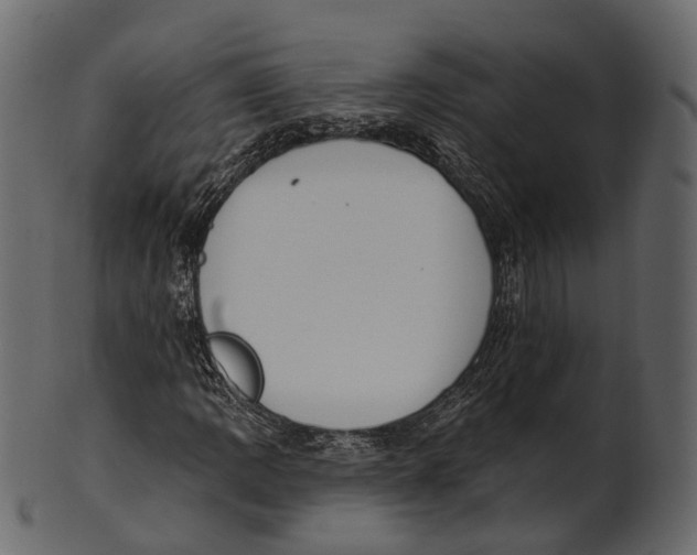 X0000100501109200807031934