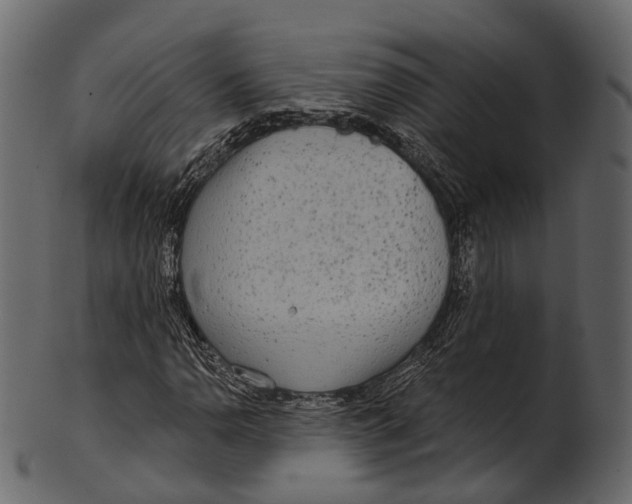 X0000100501110200807031934