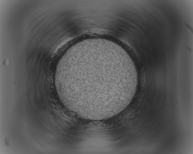 X0000100501112200807031934