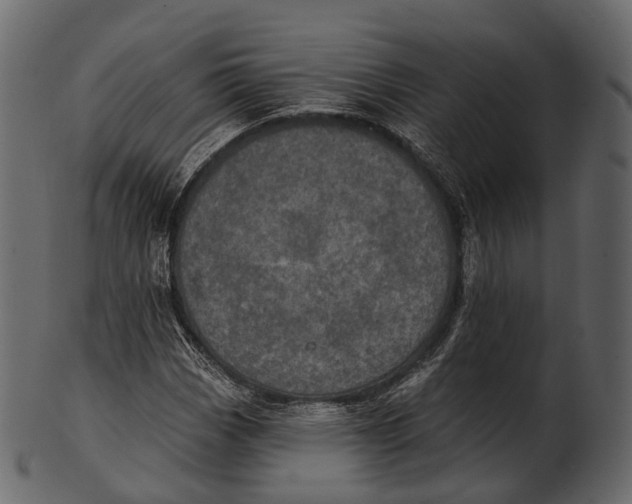 X0000100501113200807031934