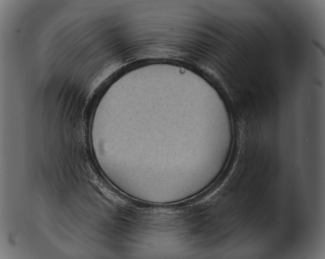 X0000100501114200807031934