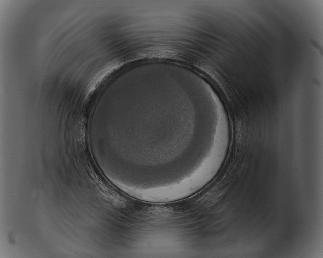 X0000100501115200807031934