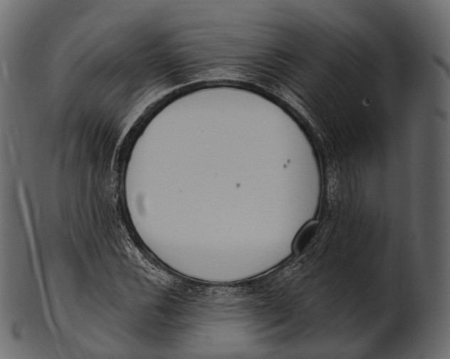 X0000100501116200807031934