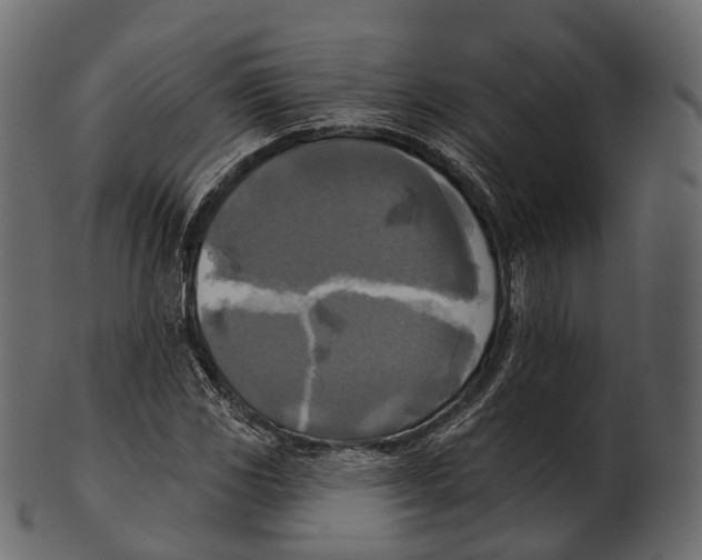 X0000100501117200807031934