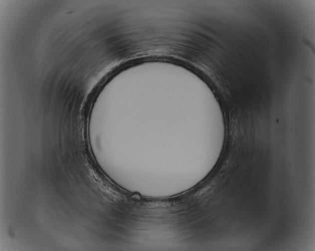 X0000100501118200807031934