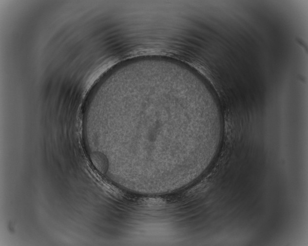 X0000100501119200807031934