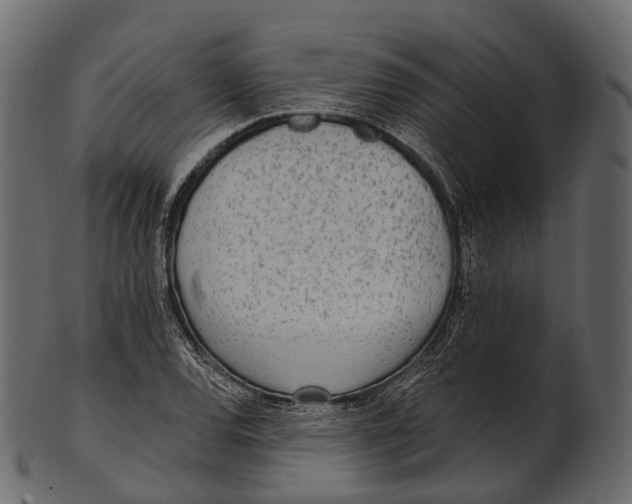 X0000100501120200807031934