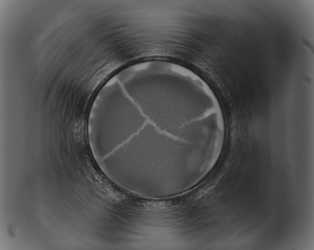 X0000100501121200807031934