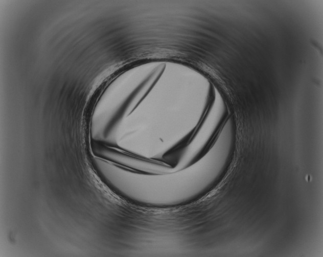 X0000100501122200807031934