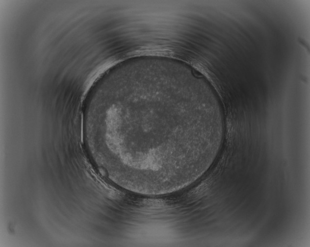 X0000100501123200807031934