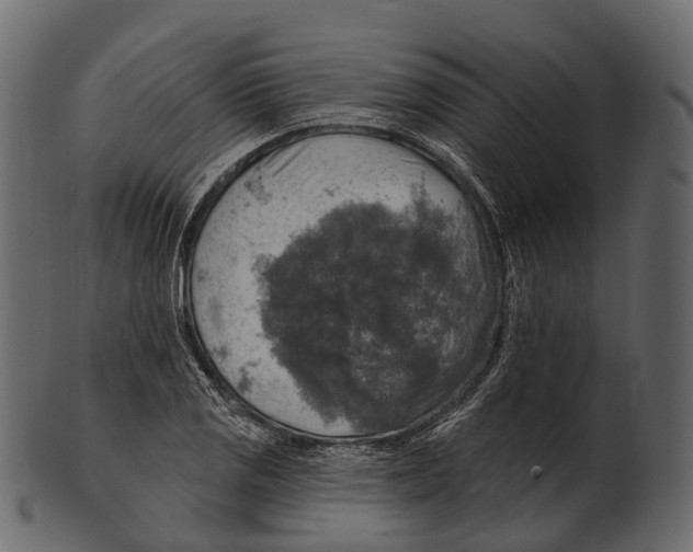 X0000100501125200807031934