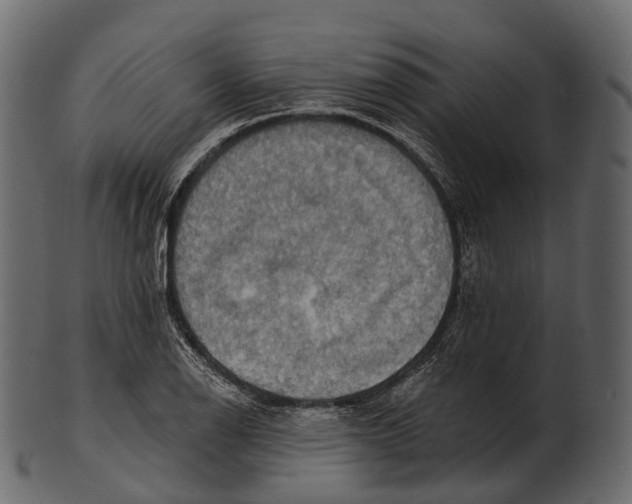 X0000100501126200807031934