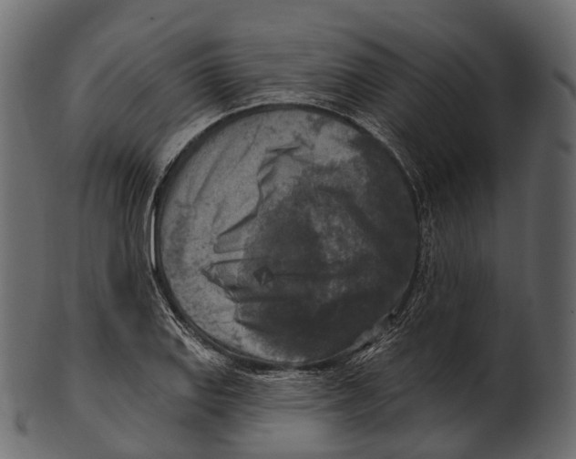 X0000100501127200807031934