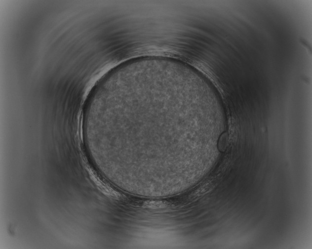 X0000100501128200807031934