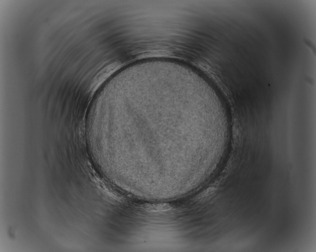 X0000100501129200807031934