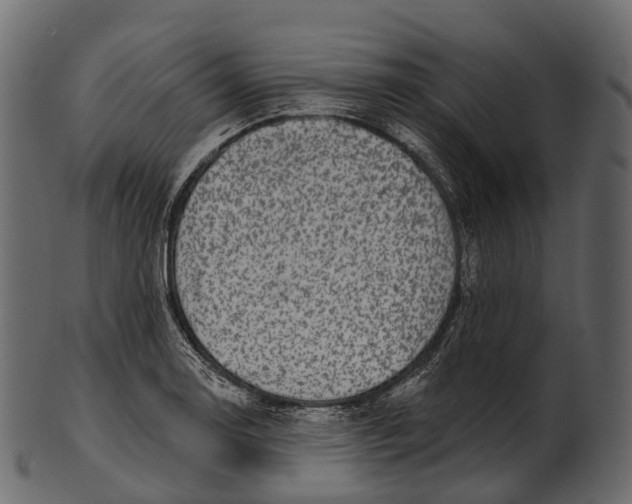 X0000100501130200807031934