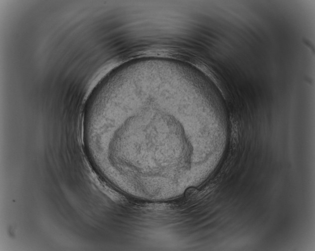 X0000100501131200807031934